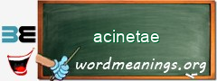 WordMeaning blackboard for acinetae